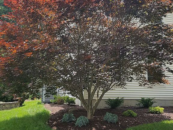 3rd image of 898 Laurel Glens Dr