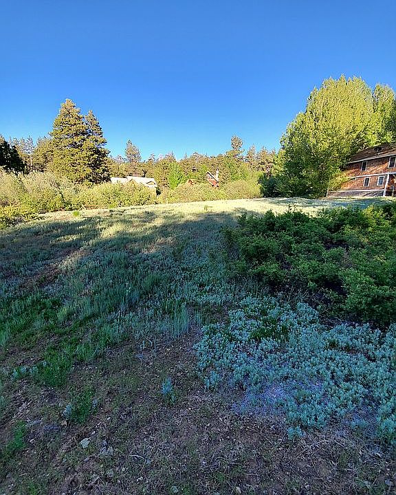 1st image of 43536 Shasta