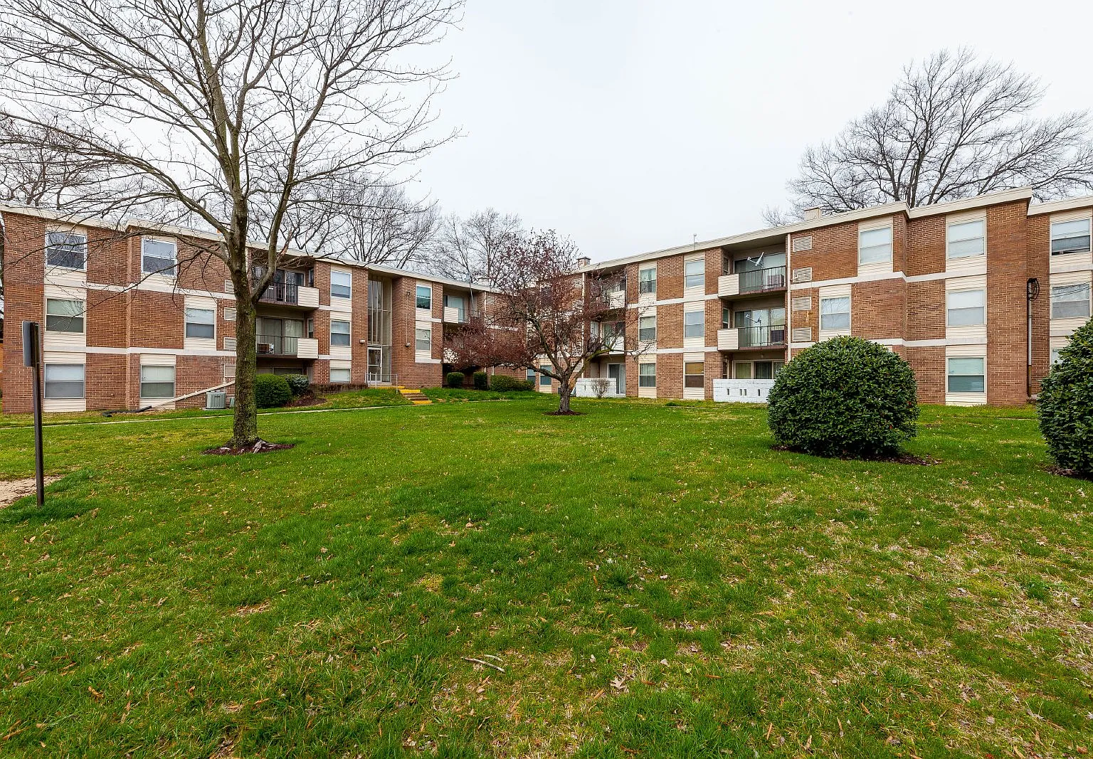 2 bed, 1.0 bath, 992 sqft, $1,600 — Photo 3