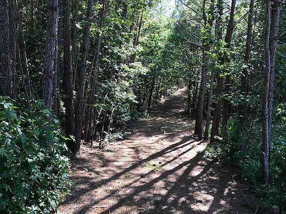 5th image of Cks Ln
