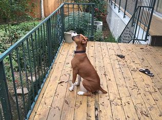 841 W Lakeview Dr, Baton Rouge, LA 70810