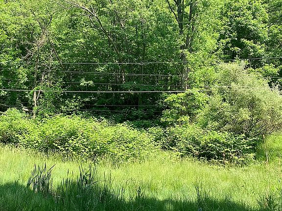 3rd image of 0 Deer Ln