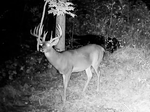 3rd image of 40009 COUNTY RD S