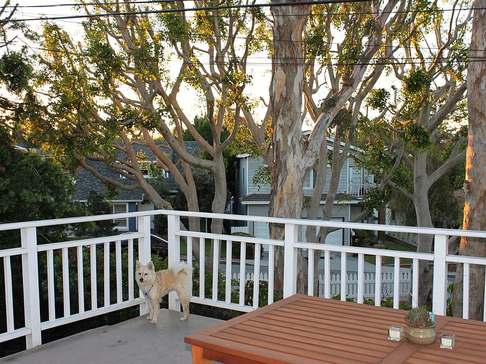 View of Trees