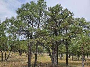 3487 Durango Dr, Happy Jack, AZ 86024