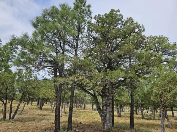 3487 Durango Dr, Happy Jack, AZ 86024