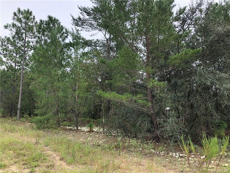 2nd image of 6885 N Sandborn Loop