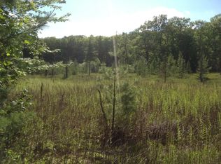 6495 Sunshine Dr, Irons, MI 49644