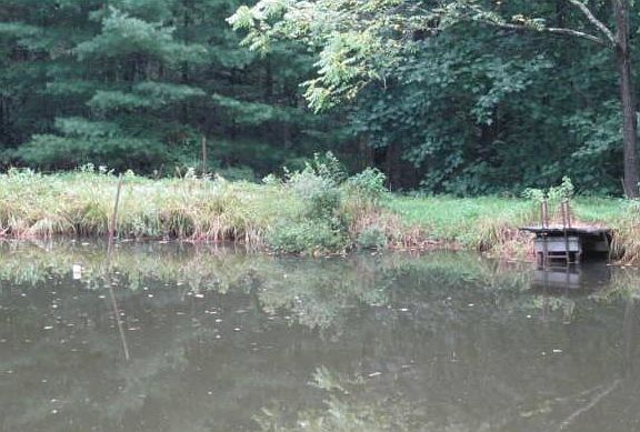 Pond