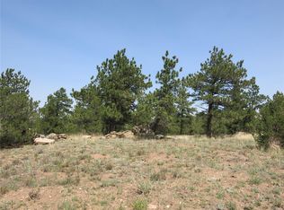 667 Wyandot Trl, Westcliffe, CO 81252