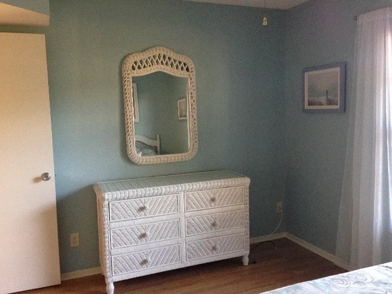 Guest bedroom also has a small walk in closet.