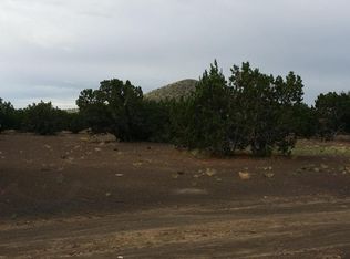 15 Leupp Rd, Flagstaff, AZ 86004