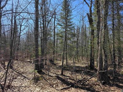 xxx Stark Rd, Cloquet, MN, 55720