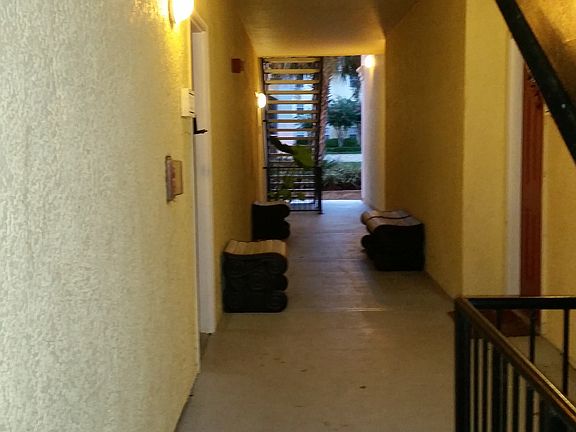 2nd image of 1275 Lake Shadow Cir APT 13101