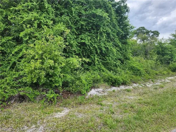107 Madison Ave, Lake Placid, FL 33852