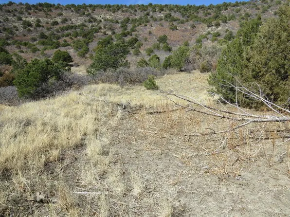 21510 County Road 40.2, Trinidad, CO 81082