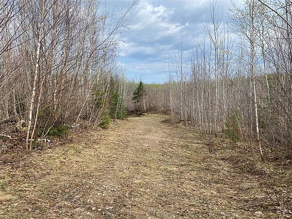 5th image of Near Wilson Lake Road