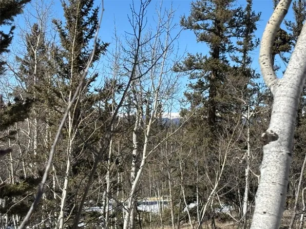 192 Bear Ln, Como, CO 80432