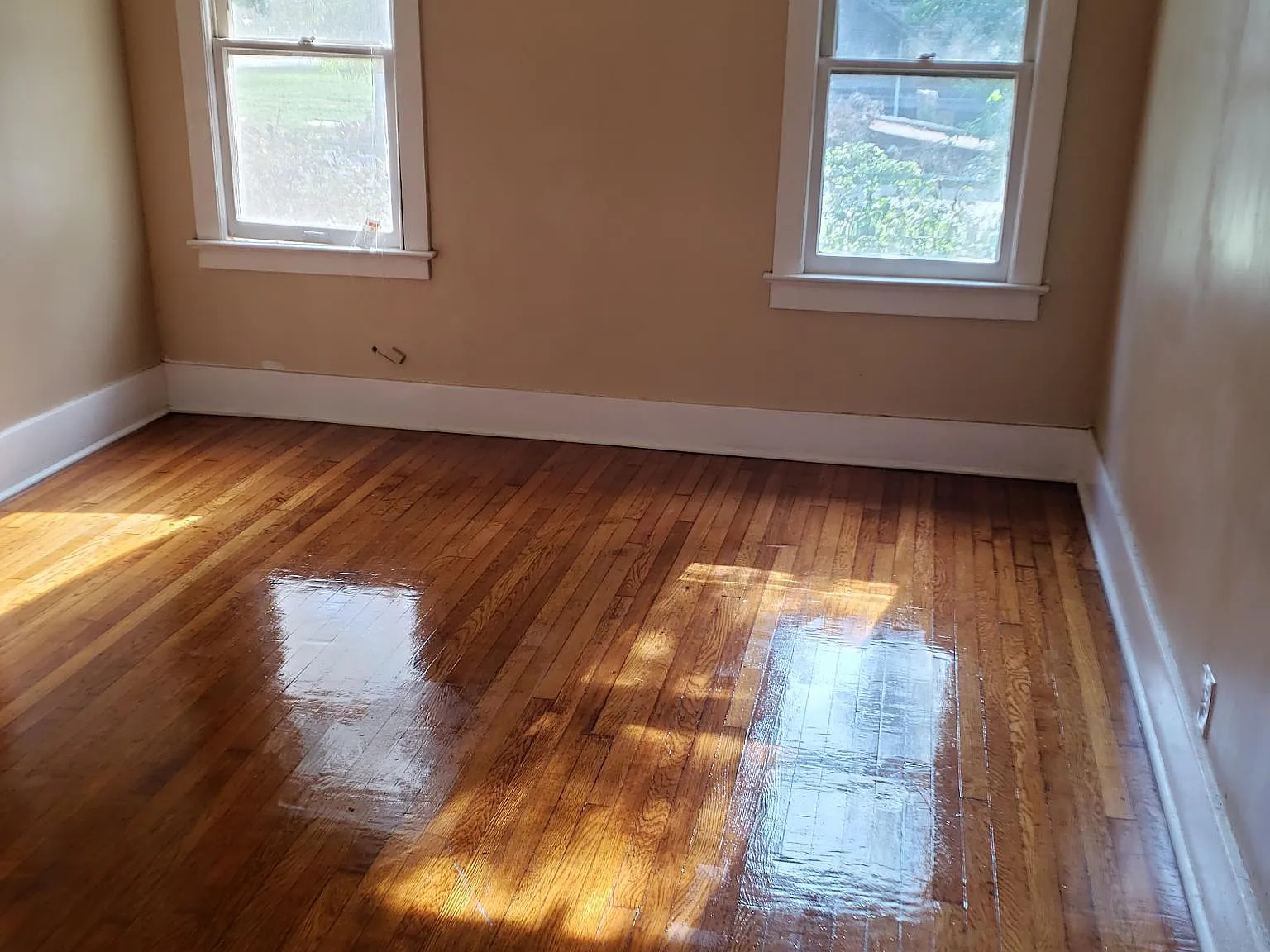 2 bed, 1300 sqft, $1,000 — Photo 3