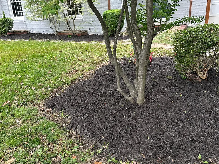 6012 Pike Branch Dr — Photo 35