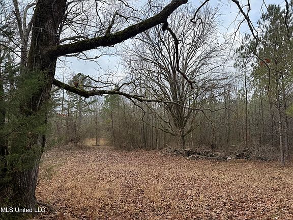 2nd image of 602 Ship Island Rd