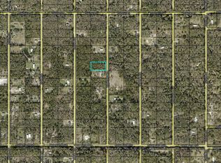 10265 Weatherby Ave, Hastings, FL 32145