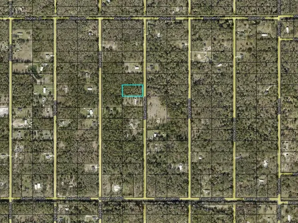 10265 Weatherby Ave, Hastings, FL 32145