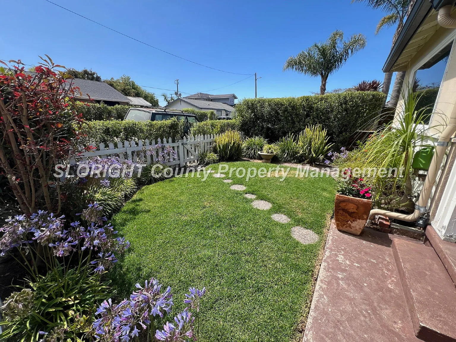2 bed, 1.0 bath, 790 sqft, $2,950 — Photo 3