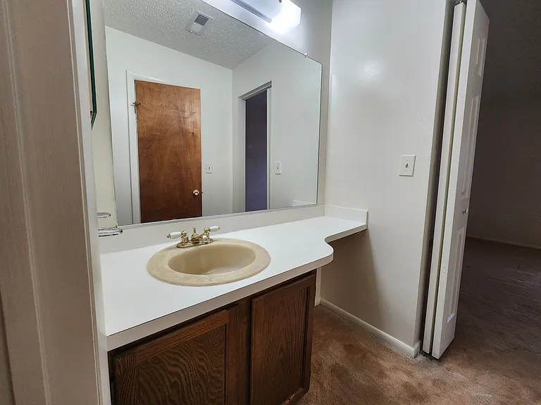 Primary Bedroom Vanity and Entrance