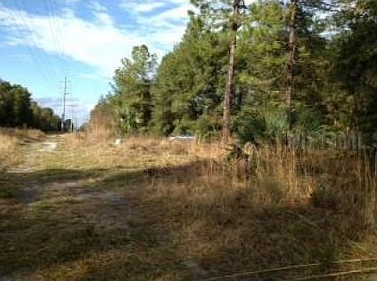 4th image of 2390 Chapel Hill Dr