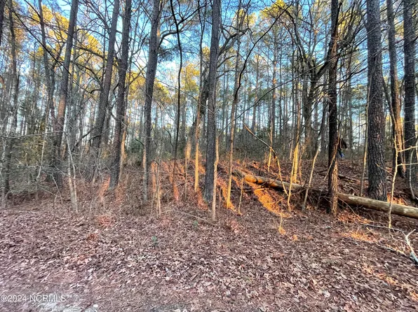 1083 Sorrell Drive, Vass, NC 28394
