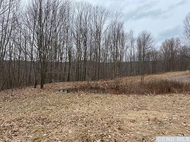 2nd image of 448 Hubbard Rd