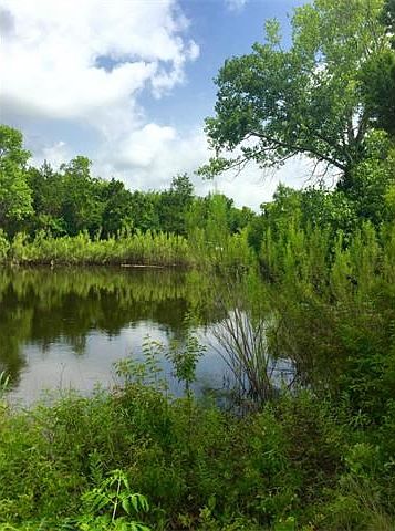 Your own beautiful pond for fishing and wildlife viewing.