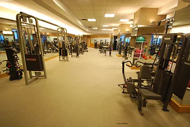 Rented by Luxury Habitat