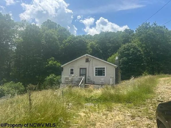 115 Abrams Dr, Belington, WV 26250