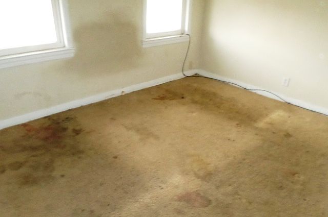 2nd image of 528 Bridgeview Rd