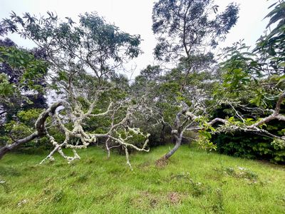 99-1945 Pukeawe Cir, Hawaii National Park, HI, 96718