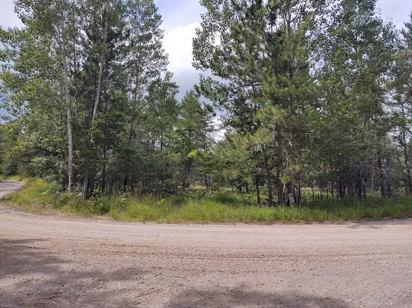 Rainy Lake Rd, Millersburg, MI 49759