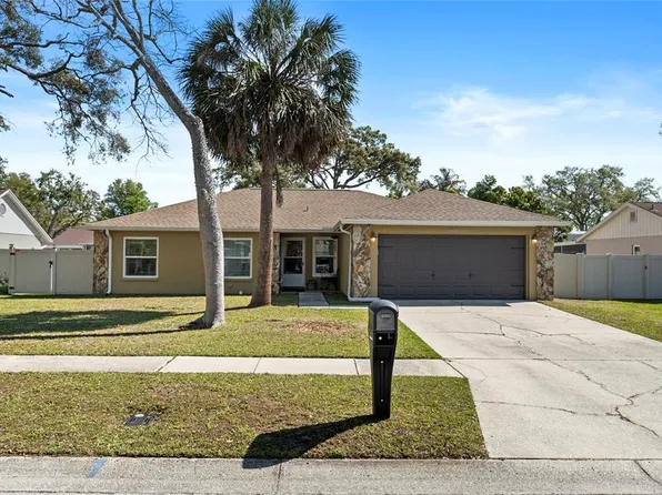 5383 Black Pine Dr, Tampa, FL 33624