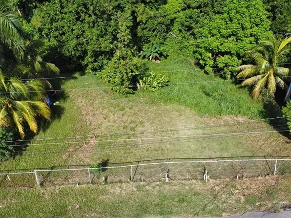 Gabriel Cardona, Moca, PR 00676