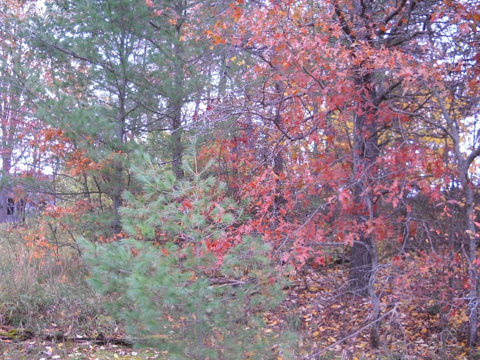 2nd image of 1970 Highbank Trl