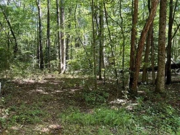 125-127 Owaso Dr #2038, Louisburg, NC 27549
