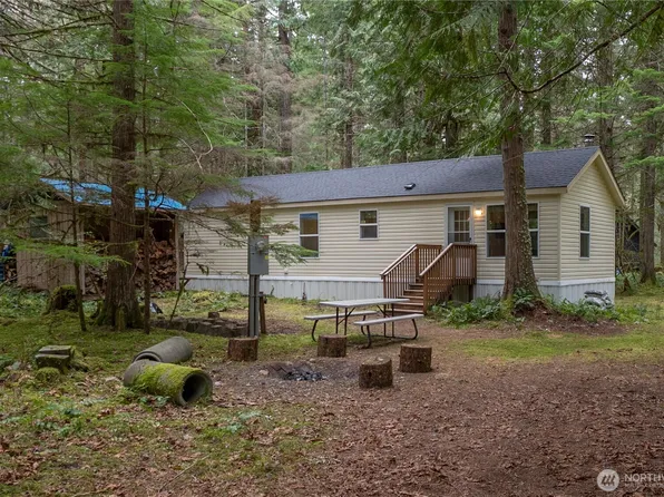 56514 383rd Avenue Ct E, Ashford, WA 98304