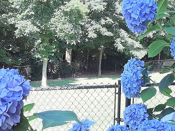 5th image of 1044 Walter Dr