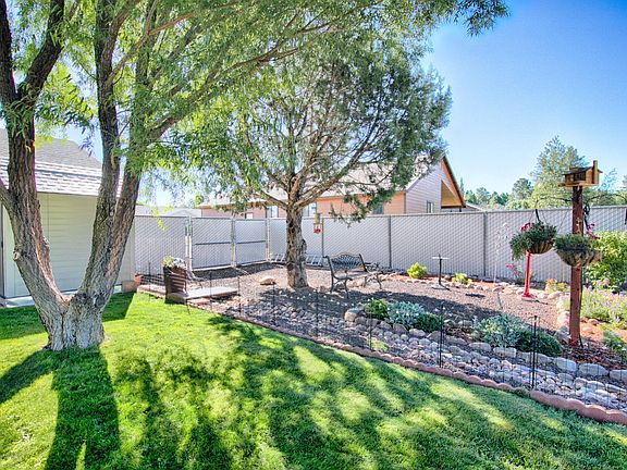 Backyard2