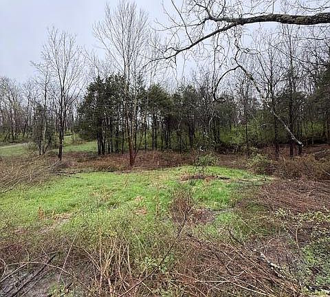 4th image of 2193 W Highway 42 Lot 2