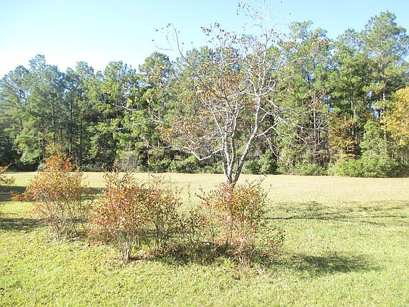 4th image of 9078 Hwy 76 E