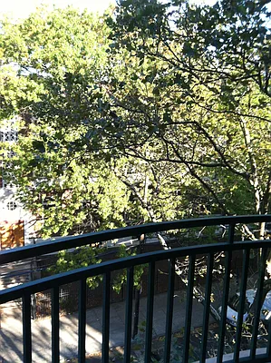 Rented by 18 REALTY | media 64