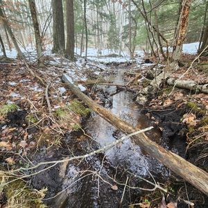 V/l E Mile Rd #7, Tustin, MI, 49688