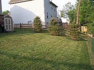 Large backyard